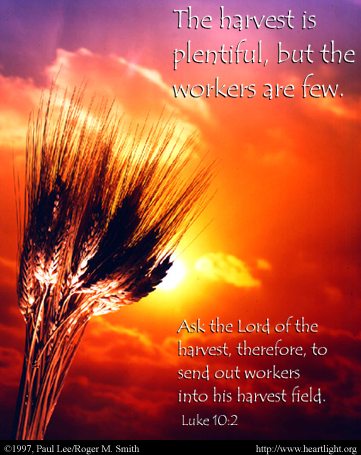Plant the seeds of The Word and watch them grow